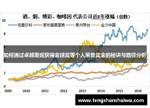 如何通过卓越表现获得金球奖等个人荣誉奖金的秘诀与路径分析